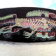 Illustration for article titled Anatomical murals take us inside man-eating sharks and cartoon rabbits